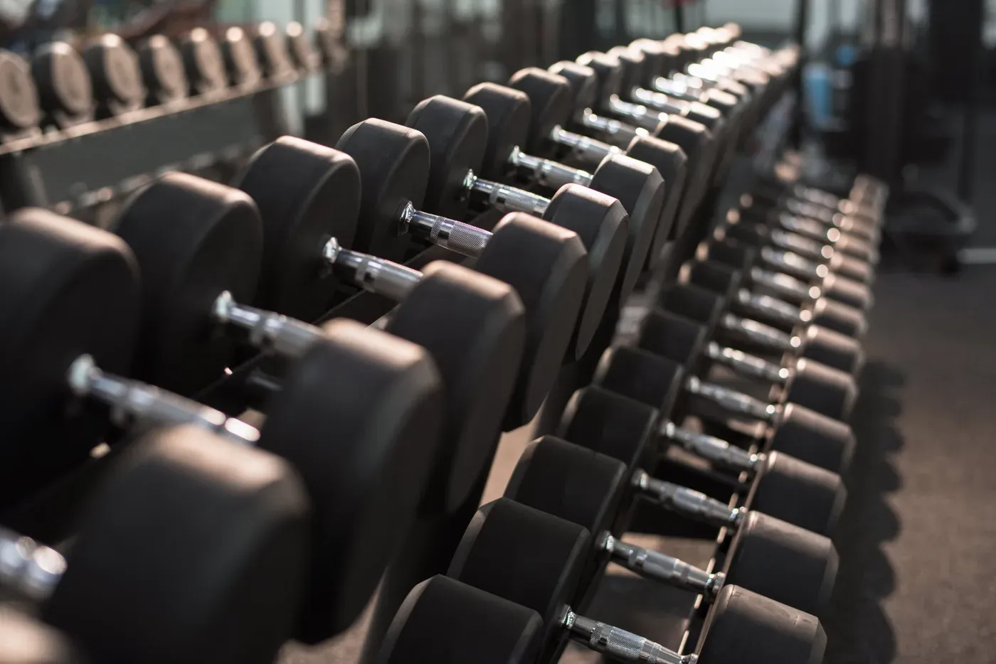 Long row of black dumbbells on a rack in a gym