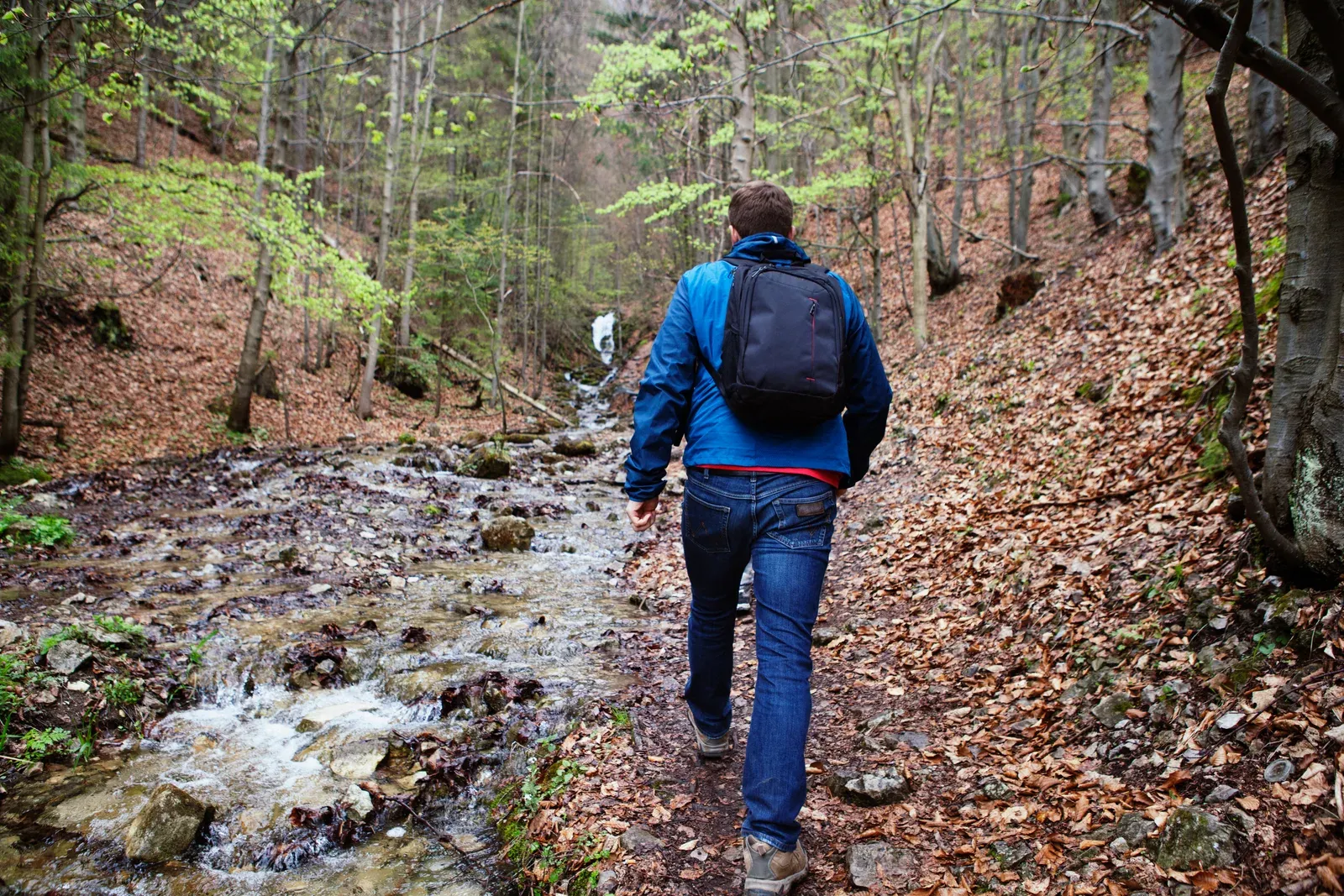 Man hiking a wooded ravine trail in autumn