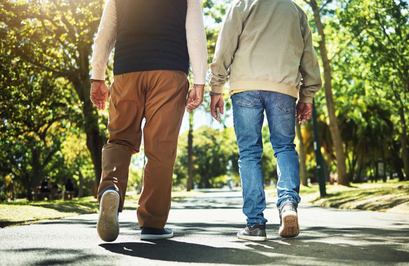 Two men walking side by side on a sunny park path, seen from behind