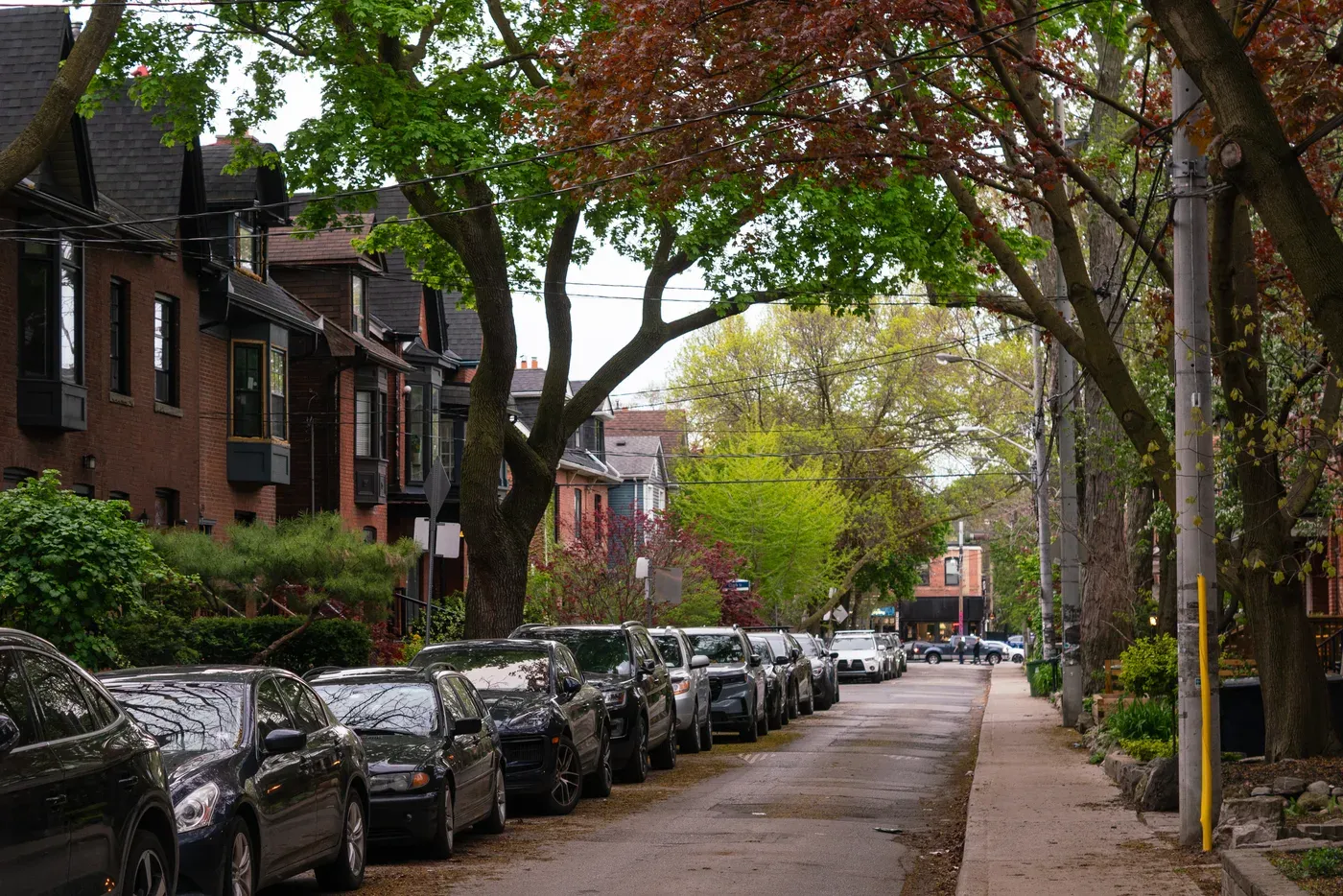 Toronto street of brick houses under a canopy of spring trees
